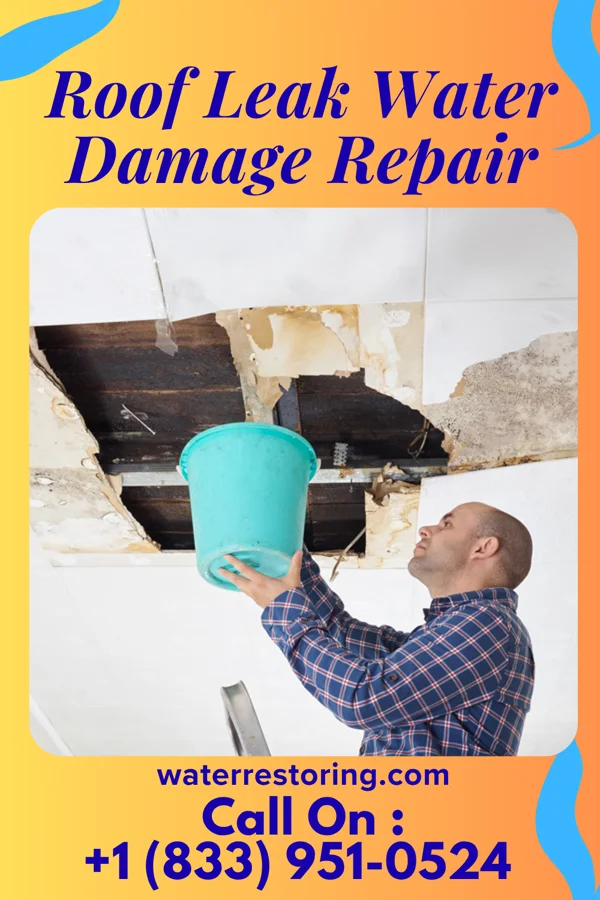 Roof Leak Water Damage Repair in Medicine Bow, WY